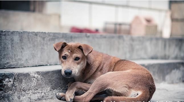 618e14a075026.jpg 微信截图_20211112151631.jpg